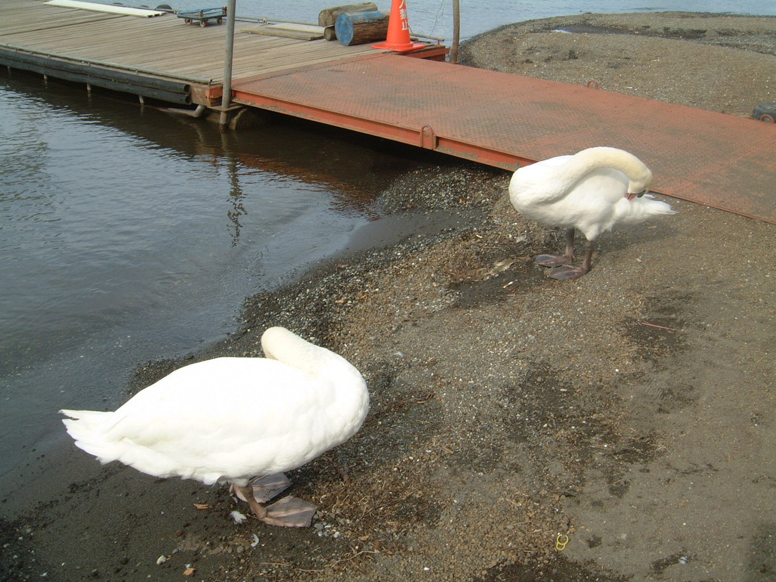 Yamanashi Lake motosu